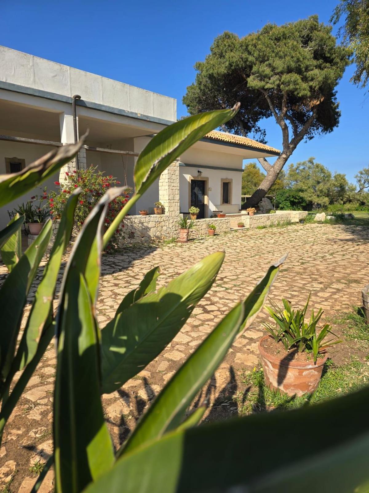B&B Casa Cavarra Portopalo Di Capo Passero Exterior photo